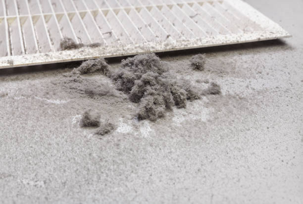 Best Air Vent Cleaning Services  in Kingstowne, VA