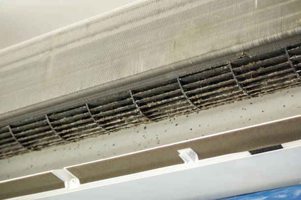 Best HVAC Maintenance and Cleaning  in Kingstowne, VA